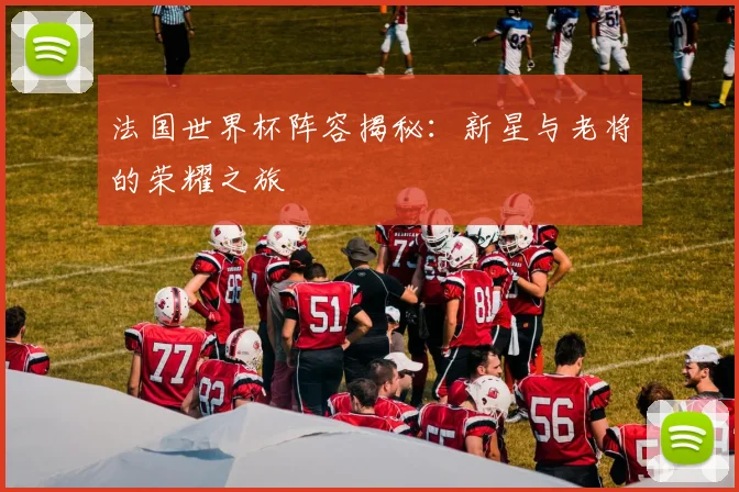 法国世界杯阵容揭秘：新星与老将的荣耀之旅