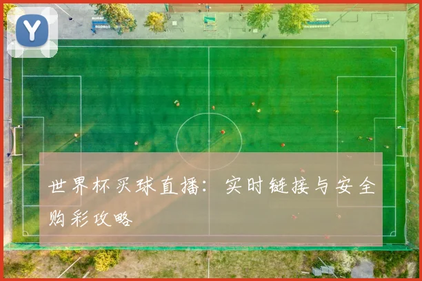 世界杯买球直播：实时链接与安全购彩攻略
